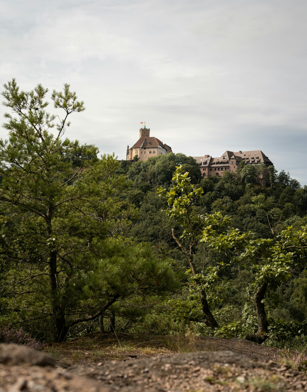 Wartburg medieval castle on a forested hill