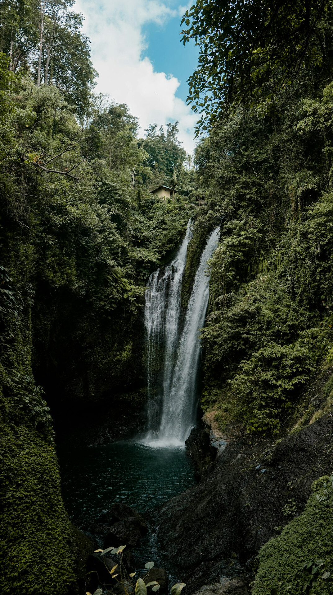 waterfall in forest