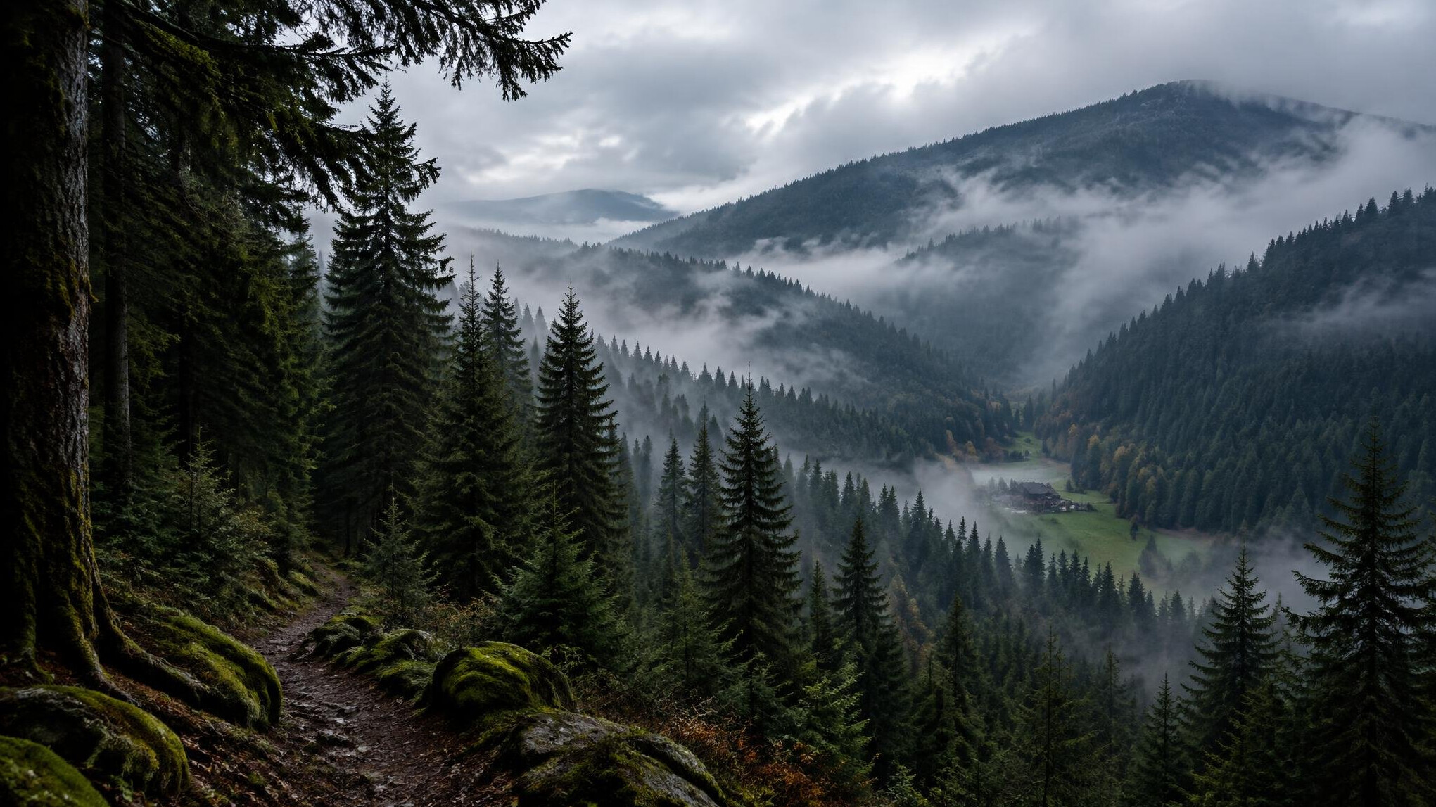 black forest germany