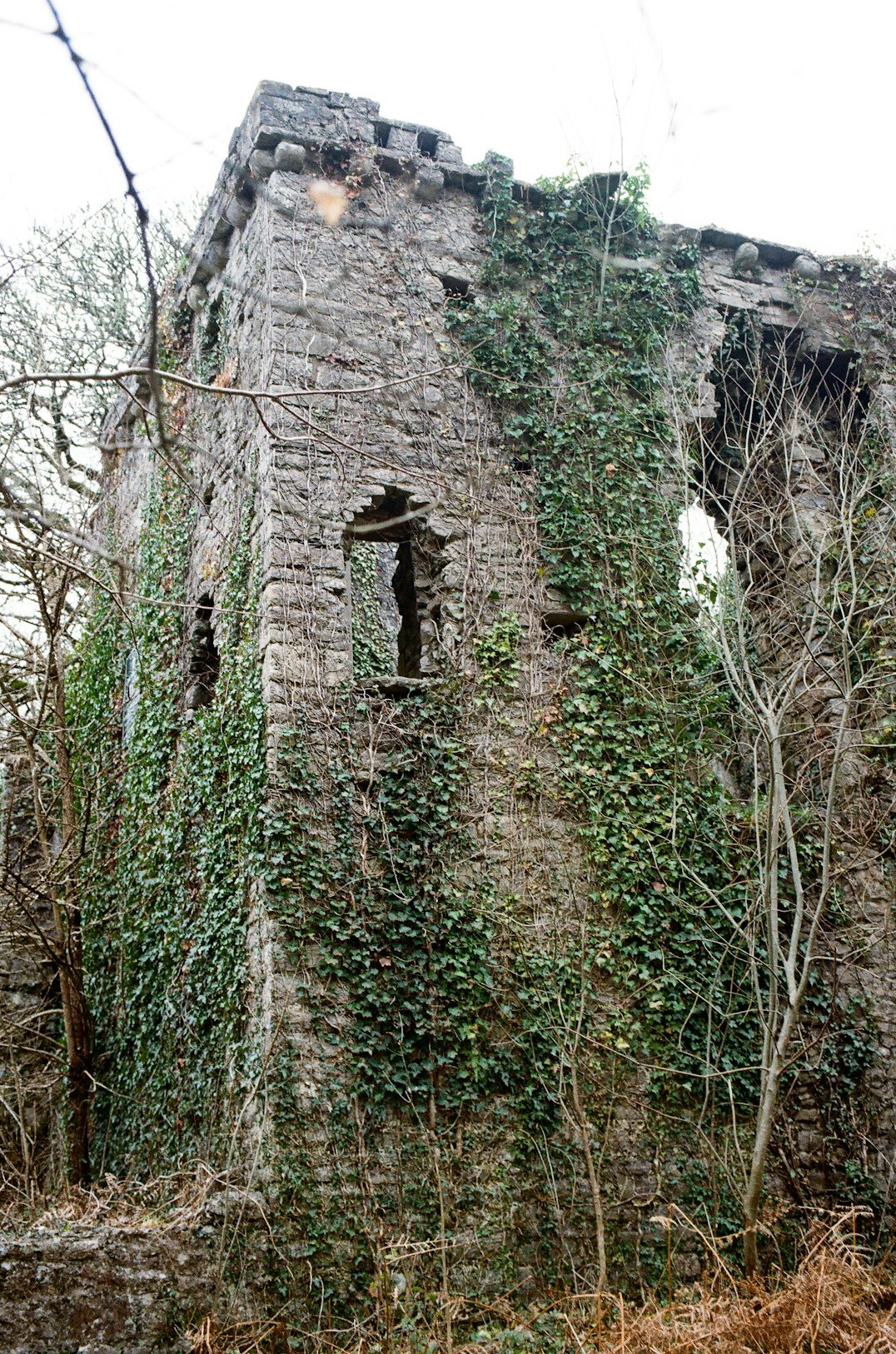 german castle ruins